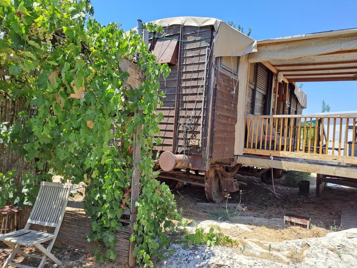 Galilee Bedouin Camplodge Tabash Exterior foto